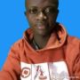 Franklin senesie